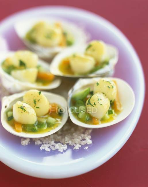 Petoncle scallops with vegetables — Stock Photo