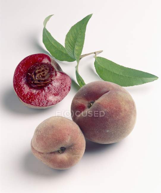 Frische wilde Pfirsiche mit Blättern — Stockfoto