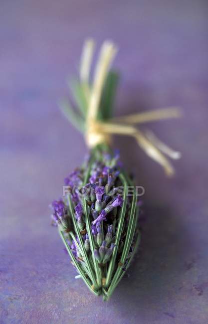 Closeup view of arrow-shaped bunch of lavender — Stock Photo