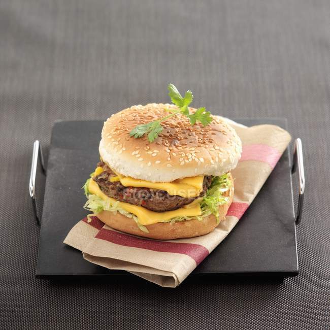 Maya-Burger mit Käse — Stockfoto
