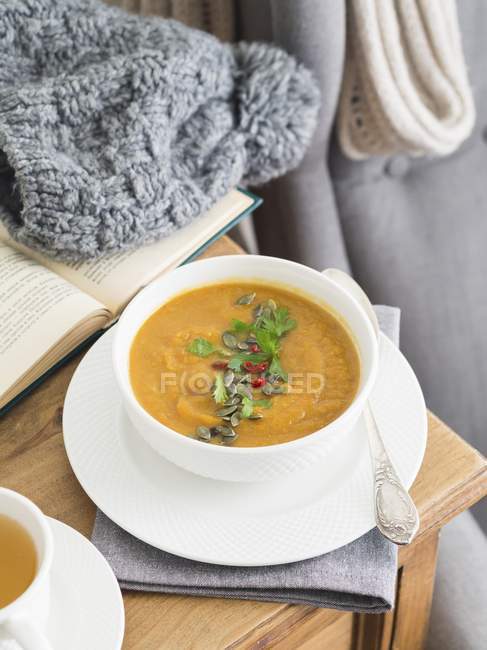 Crema invernale di minestra di verdure — Foto stock