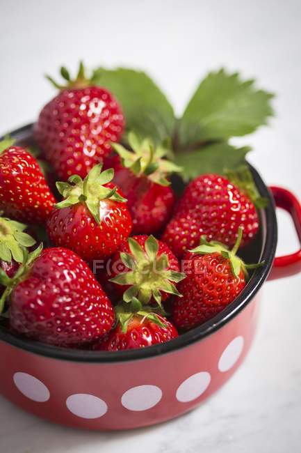 Erdbeeren im Emailtopf — Stockfoto