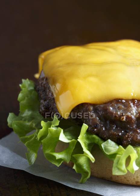Жареный говяжий бургер — стоковое фото