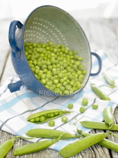 Fresh green Peas — Stock Photo