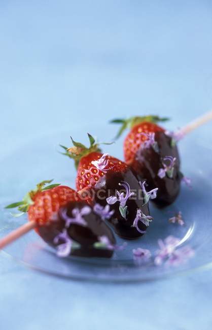 Espetos de morango e chocolate — Fotografia de Stock