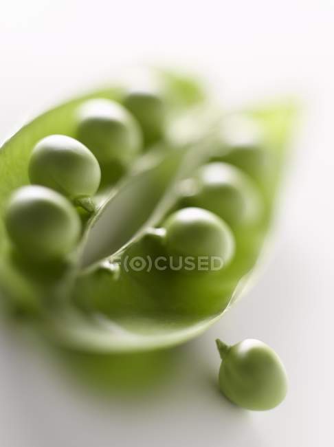 Frische grüne Erbsen mit Schote — Stockfoto