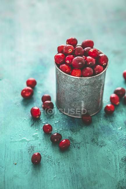 Fresh cranberries in metal pot — Stock Photo