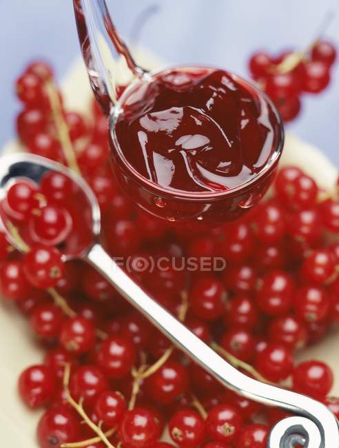 Sherry and redcurrant jelly — Stock Photo
