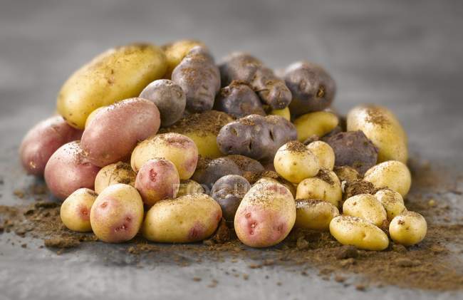 Montón de patatas surtidas - foto de stock