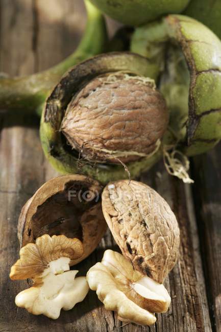 Открытый грецкий орех и скорлупа — стоковое фото