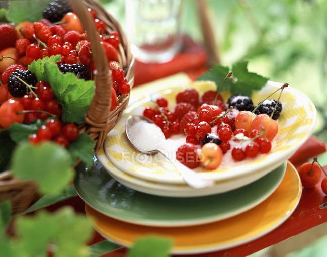 Крупный план различных ягод с сахаром на куче тарелок — стоковое фото
