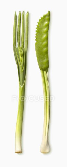 Cuchillo y tenedor hecho de verduras - foto de stock