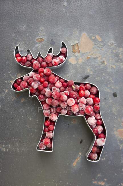 Cookie cutter filled with frozen lingonberries — Stock Photo