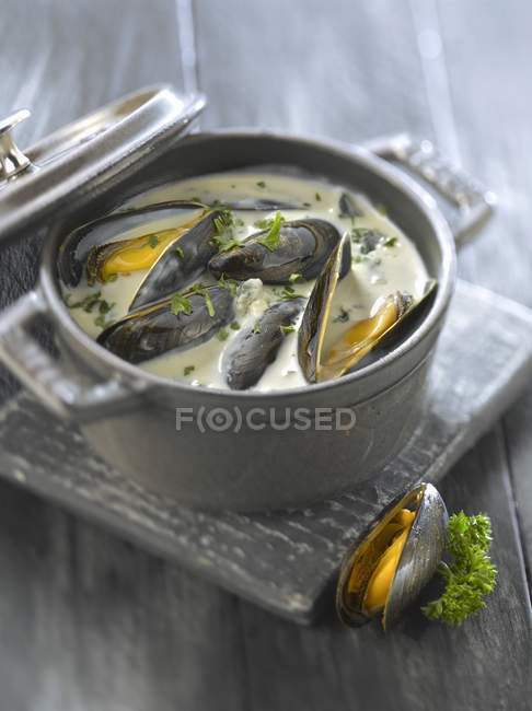 Miesmuscheln in Roquefort-Sauce — Stockfoto