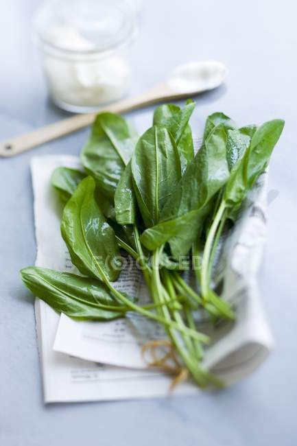 Mazzo di acetosa fresca — Foto stock