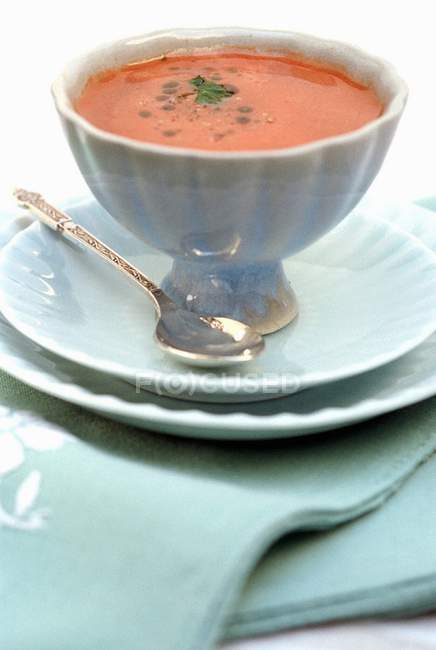 Cold vegetable soup — Stock Photo