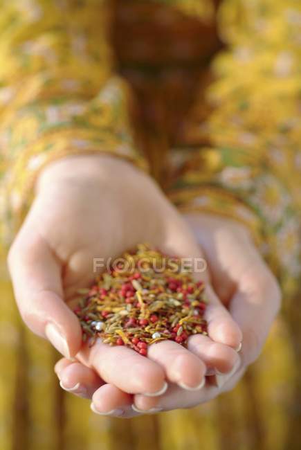Closeup view of hands holding spices heap — Stock Photo