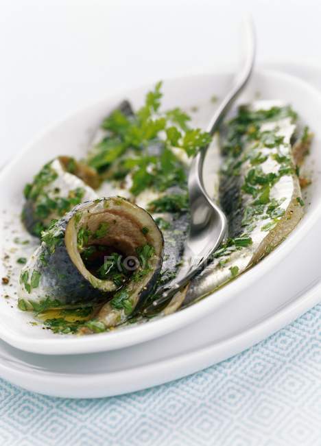 Closeup view of sardine Carpaccio with herbs — Stock Photo
