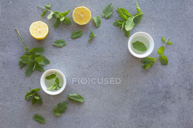 Лимон и мятный чай в чашках — стоковое фото