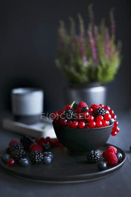 Fresh Summer berries — Stock Photo