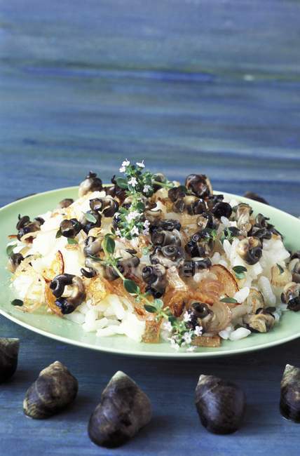 Vista close-up de risotto com caracóis do mar — Fotografia de Stock