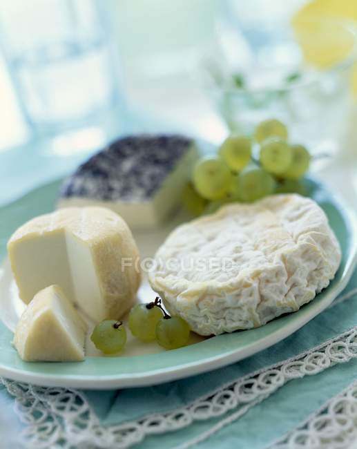 Selección de quesos con uvas - foto de stock