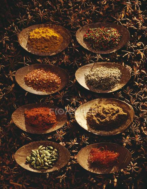 Selección de especias en platos marrones sobre hierbas - foto de stock