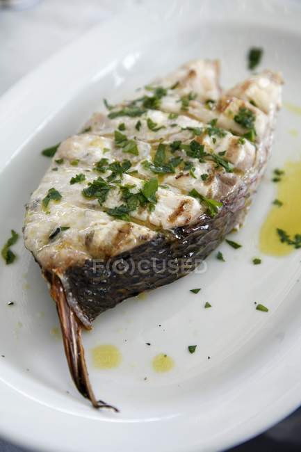 Fish steak grilled on the barbecue with herbs in white plate — Stock Photo