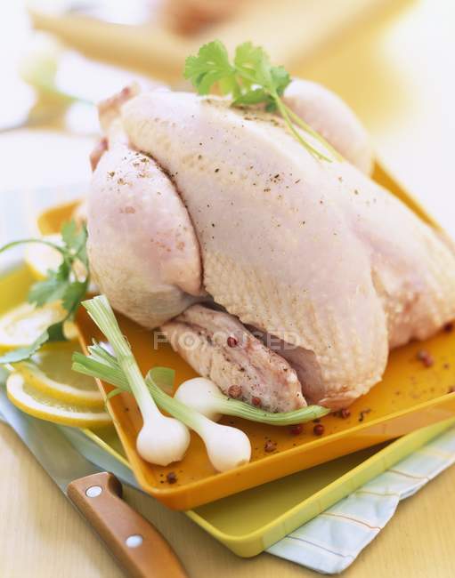 Raw chicken with herbs — Stock Photo