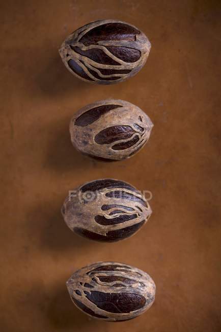 Fila de Nutmegs frescos - foto de stock