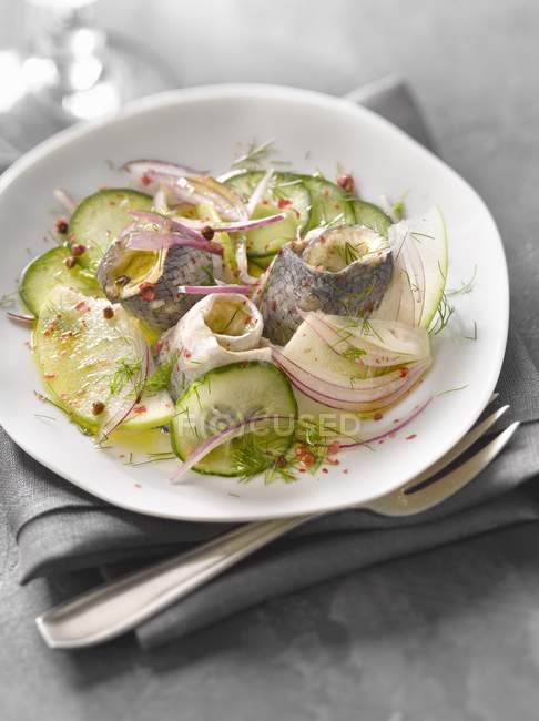 Red onion and dill salad — Stock Photo
