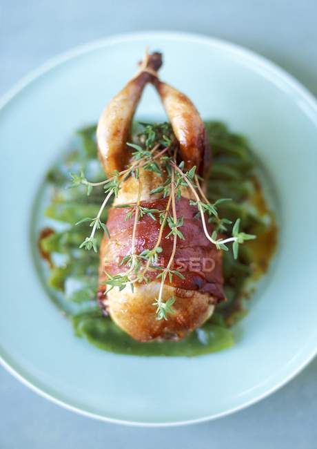 Quail wrapped in bacon — Stock Photo