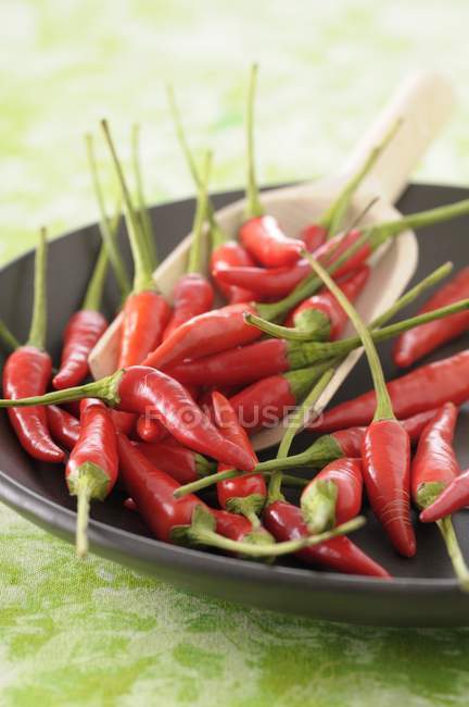Red chili peppers in black dish — Stock Photo