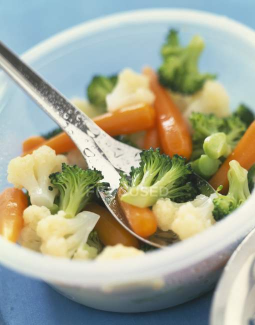 Steam-cooked vegetables — Stock Photo