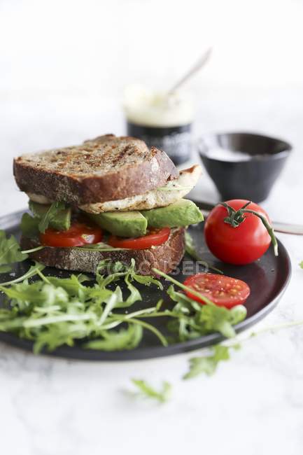 Chicken sandwich with tomato — Stock Photo