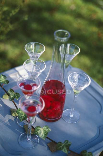 Vista elevada de licor de frambuesa casero y vasos en bandeja al aire libre - foto de stock