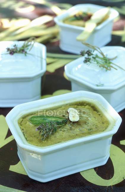 Terrina con foie gras — Foto stock