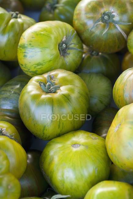 Свіжої зелені помідори — стокове фото