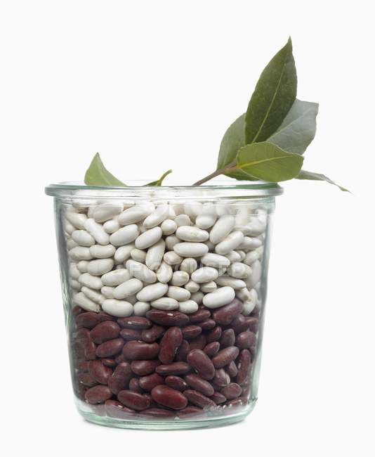 Jar of white and red beans — Stock Photo