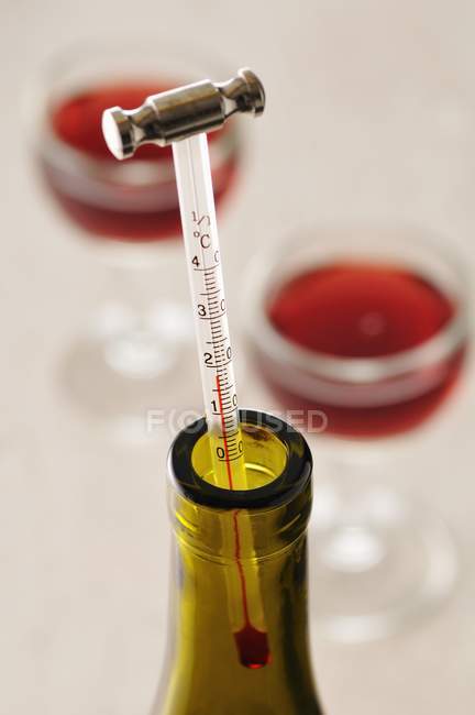 Termometro del vino in bottiglia — Foto stock