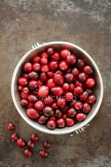 Bowl of fresh lingonberries — Stock Photo