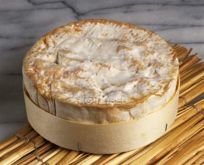 Сир в круглій формі — стокове фото