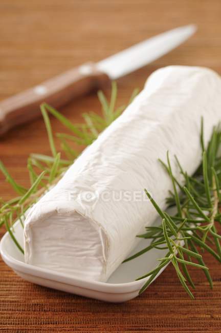 Козячий сир на білій тарілці — стокове фото