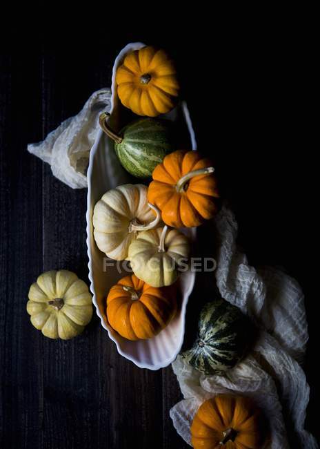 Колекція різнокольорових гарбузів — стокове фото