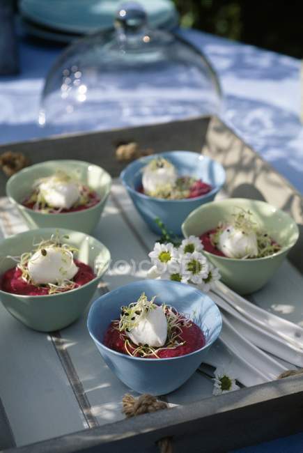 Bowls of beetroot mousse — Stock Photo