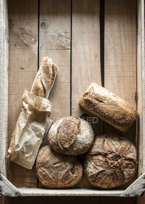 Various pieces of bread — Stock Photo