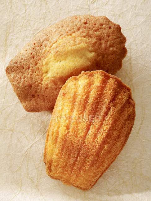 Two baked madeleines — Stock Photo