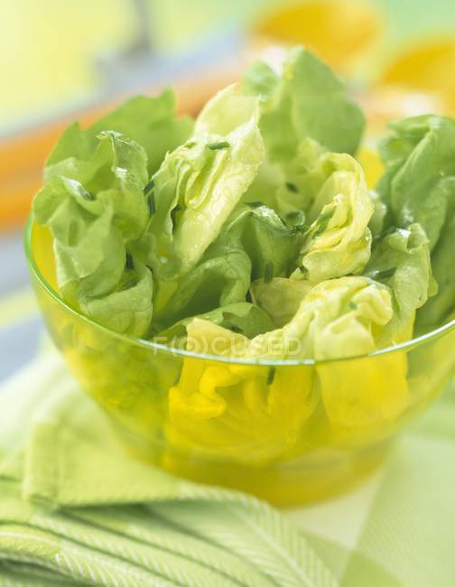 Листя салату в мисці — стокове фото