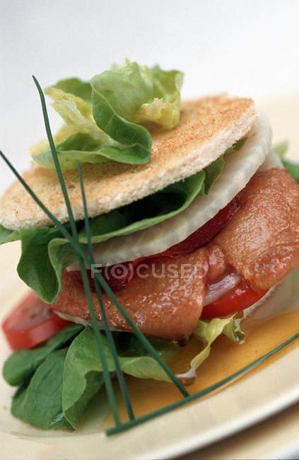 Appetiser with salmon and tomatoes — Stock Photo