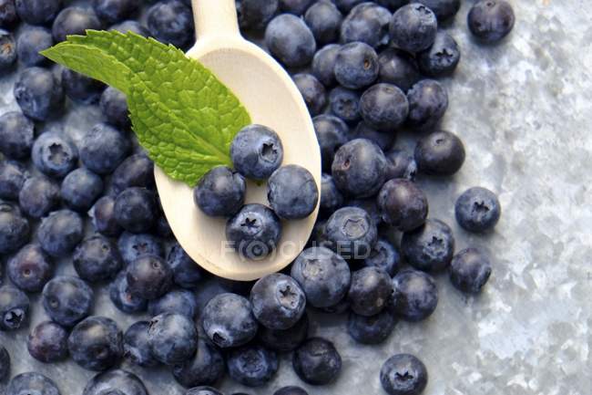 Blueberries with wooden spoon — Stock Photo